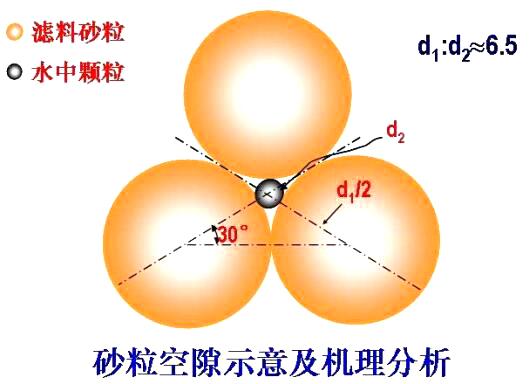 砂?？障妒疽饧皺C(jī)理分析